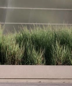 Alpbuddy Sales Store 12 Garmin Forerunner 35 GPS